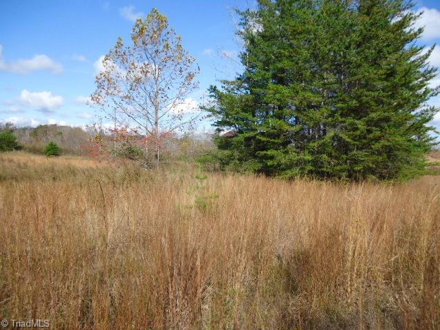 40-ac Amostown Road Sandy Ridge, NC 27046 - Photo 4 of 24