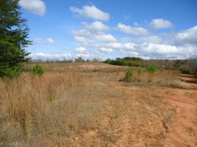 40-ac Amostown Road Sandy Ridge, NC 27046 - Photo 5 of 24
