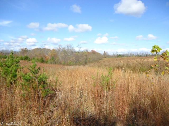 40-ac Amostown Road Sandy Ridge, NC 27046 - Photo 6 of 24