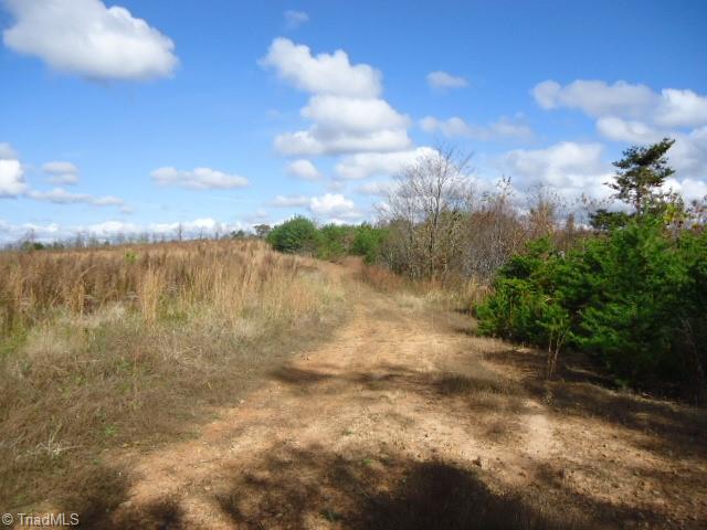 40-ac Amostown Road Sandy Ridge, NC 27046 - Photo 7 of 24