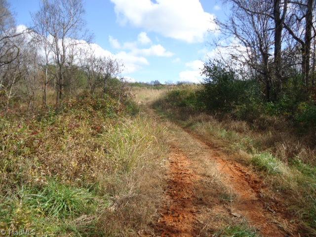 40-ac Amostown Road Sandy Ridge, NC 27046 - Photo 8 of 24