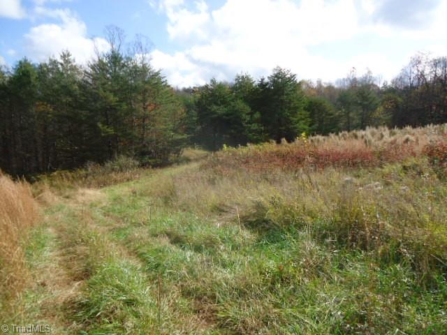 40-ac Amostown Road Sandy Ridge, NC 27046 - Photo 9 of 24