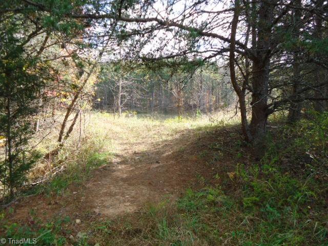 40-ac Amostown Road Sandy Ridge, NC 27046 - Photo 10 of 24