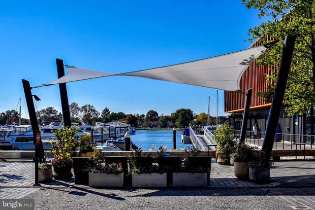 a view of a large pool with a bench and trees in the background