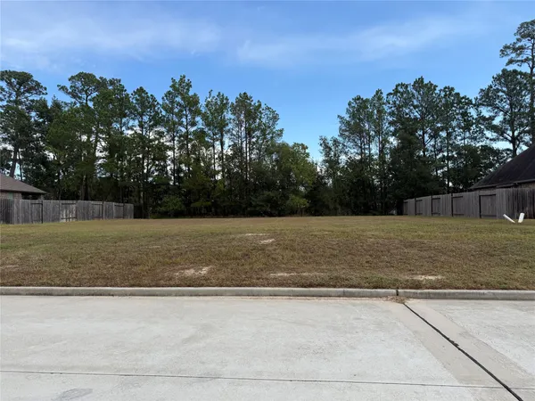 a view of a yard