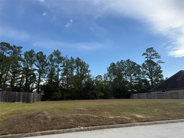 a view of a yard