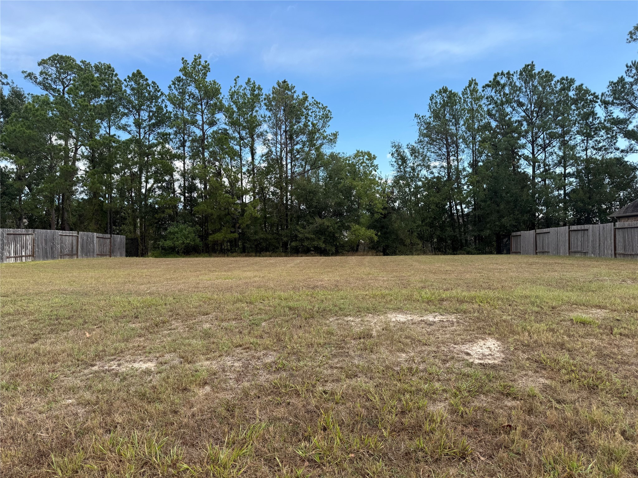 15706 Gibson Grass Court Spring, TX 77379 - Photo 5 of 5 a view of a outdoor space
