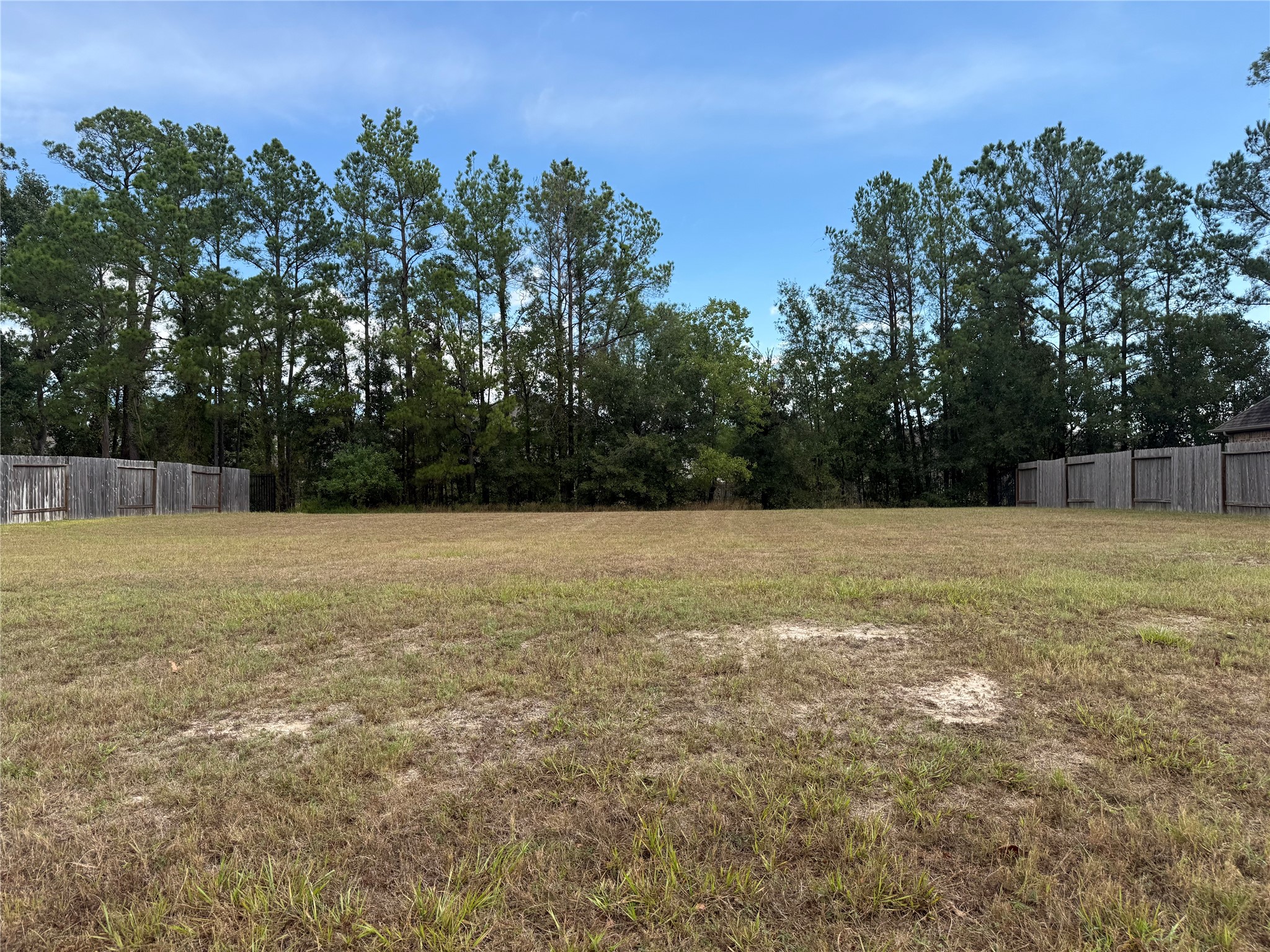 15706 Gibson Grass Court Spring, TX 77379 - Photo 5 of 5