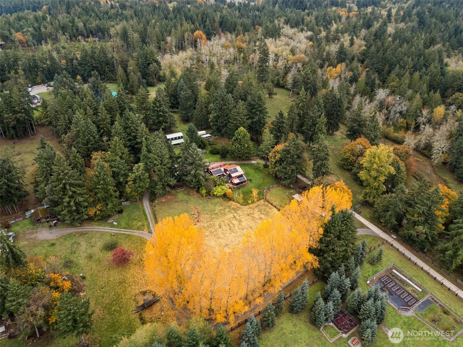4914 182nd Avenue Southwest Longbranch, WA 98351 - Photo 3 of 40 a view of swimming pool and mountain view