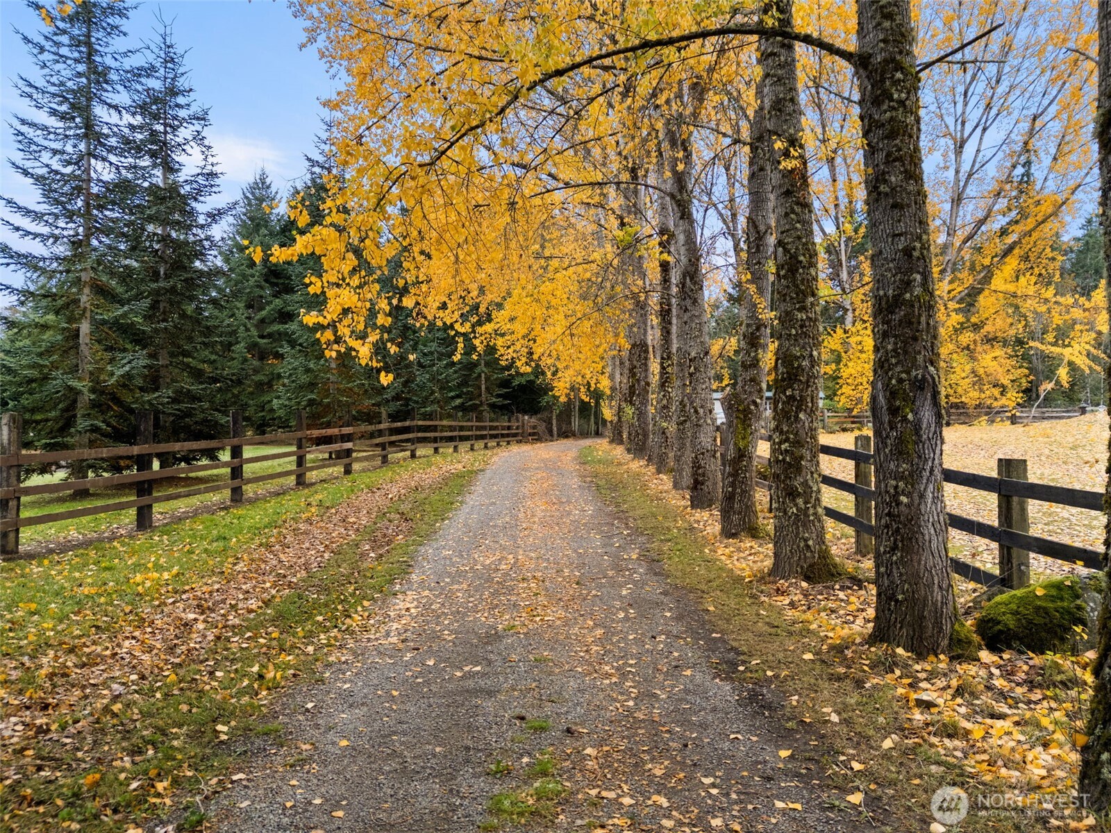 4914 182nd Avenue Southwest Longbranch, WA 98351 - Photo 4 of 40 a view of a yard with wooden fence