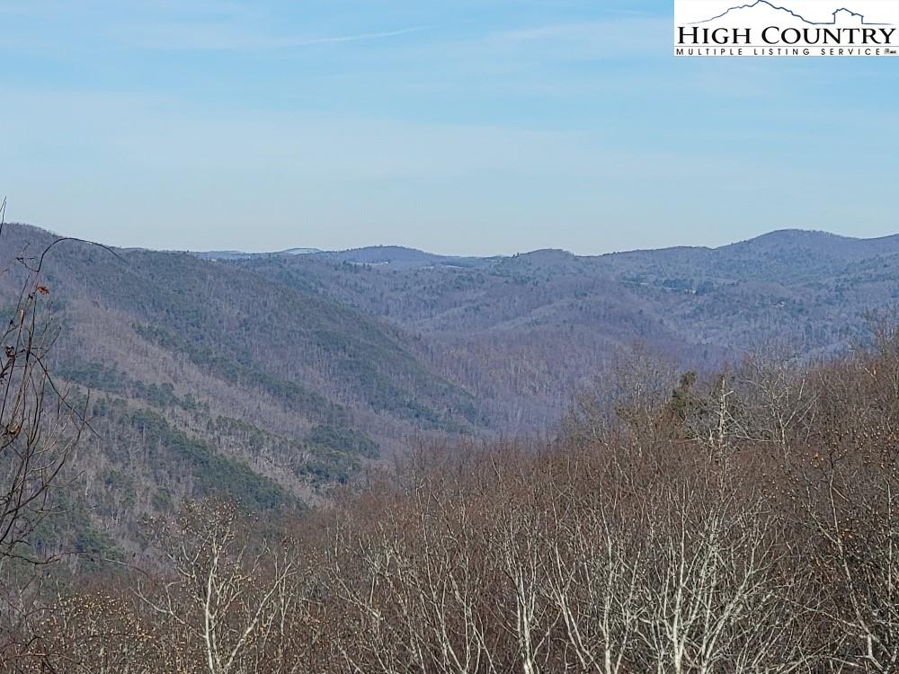 77 Cascades Ridge Ennice, NC 28623 - Photo 3 of 33 a view of a dry field