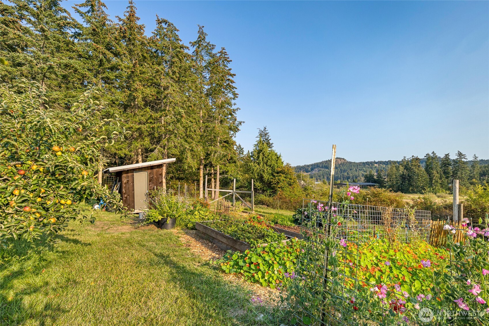 14 Fieldstone Road Friday Harbor, WA 98250 - Photo 31 of 39 Gallery Image 31