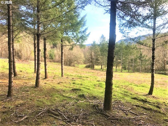 0 Southwest Larson Road Gaston, OR 97119 - Photo 11 of 19
