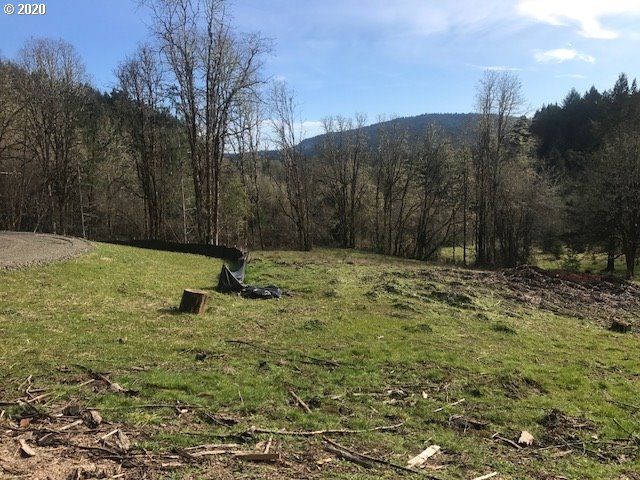 0 Southwest Larson Road Gaston, OR 97119 - Photo 12 of 19