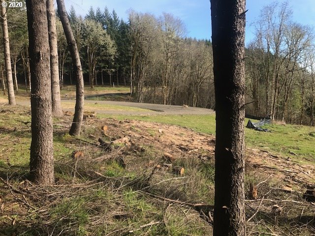 0 Southwest Larson Road Gaston, OR 97119 - Photo 13 of 19