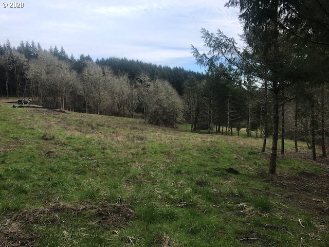0 Southwest Larson Road Gaston, OR 97119 - Photo 14 of 19
