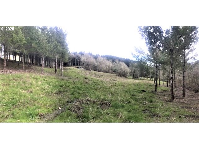 0 Southwest Larson Road Gaston, OR 97119 - Photo 15 of 19