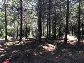 0 Southwest Larson Road Gaston, OR 97119 - Photo 17 of 19