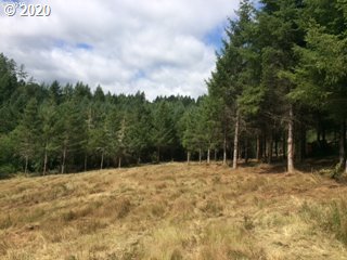 0 Southwest Larson Road Gaston, OR 97119 - Photo 19 of 19