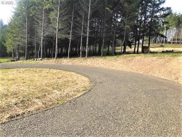0 Southwest Larson Road Gaston, OR 97119 - Photo 3 of 19