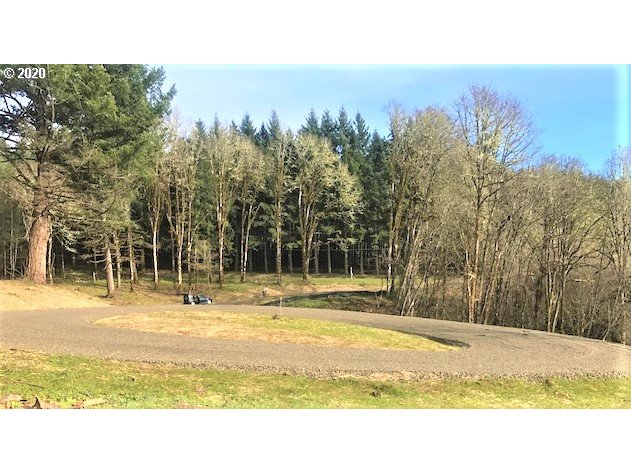 0 Southwest Larson Road Gaston, OR 97119 - Photo 4 of 19