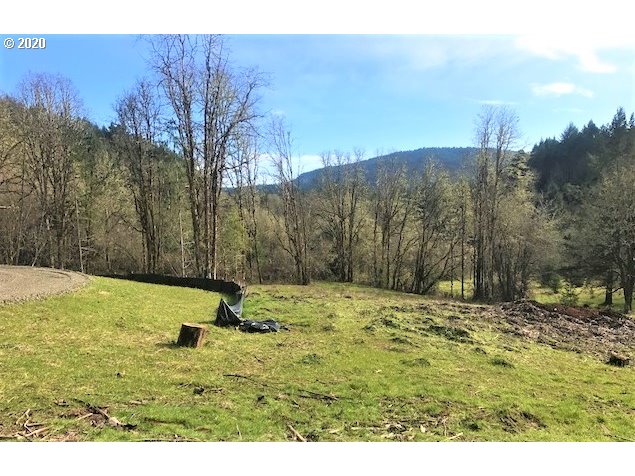 0 Southwest Larson Road Gaston, OR 97119 - Photo 5 of 19