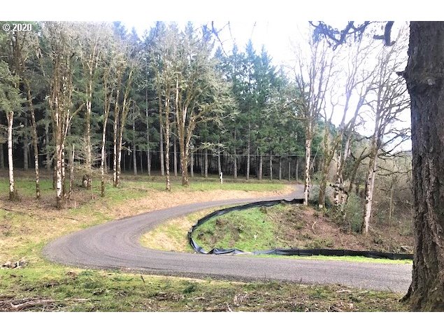 0 Southwest Larson Road Gaston, OR 97119 - Photo 6 of 19