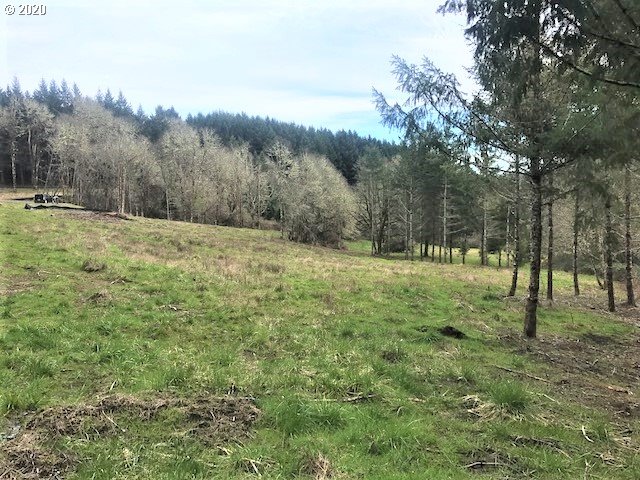 0 Southwest Larson Road Gaston, OR 97119 - Photo 7 of 19