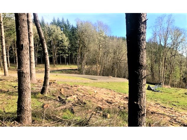 0 Southwest Larson Road Gaston, OR 97119 - Photo 8 of 19