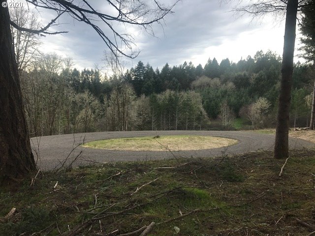0 Southwest Larson Road Gaston, OR 97119 - Photo 10 of 19