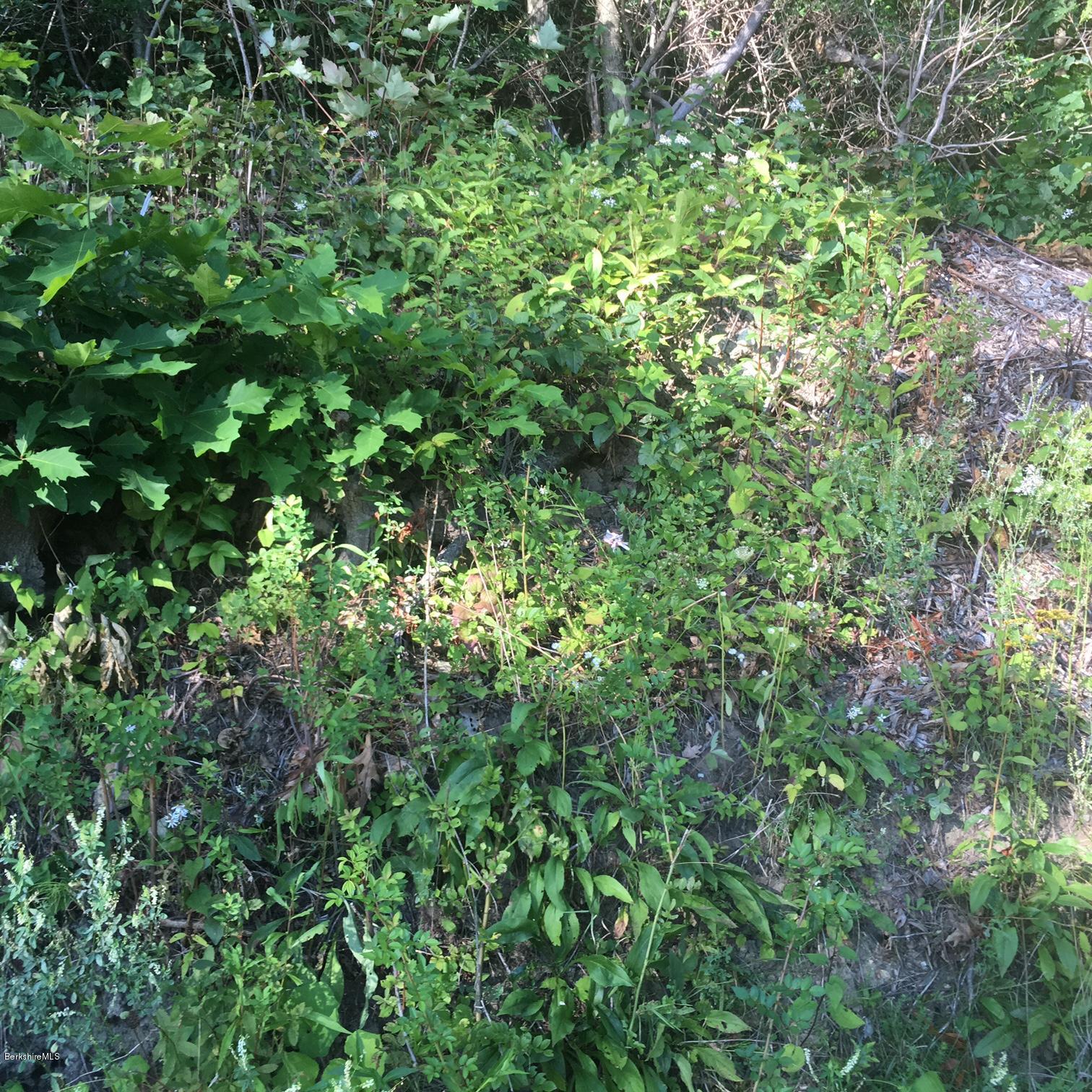 1874 East Otis Road Otis, MA 01029 - Photo 10 of 13 miller10