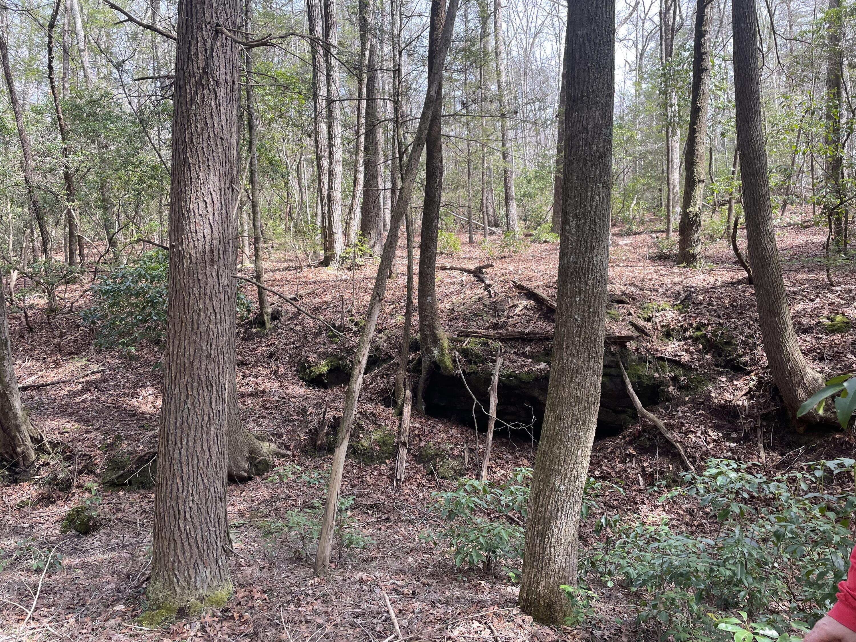 Lot 9 Gray Creek Road Graysville, TN 37338 - Photo 1 of 9 image_50769409