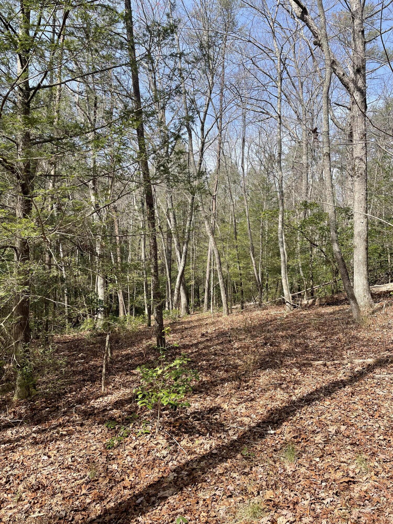 Lot 9 Gray Creek Road Graysville, TN 37338 - Photo 4 of 9 image_67531777