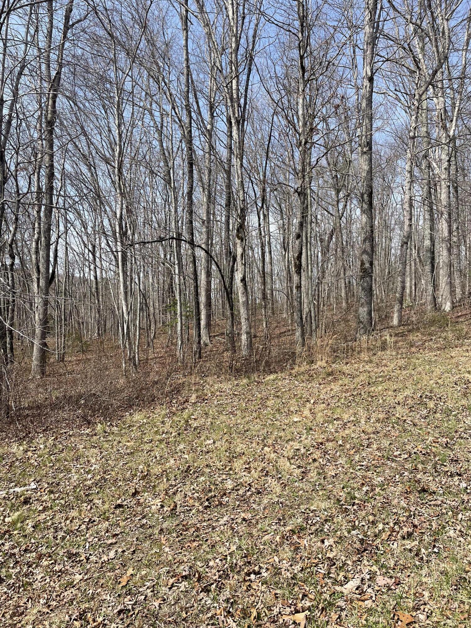 Lot 9 Gray Creek Road Graysville, TN 37338 - Photo 5 of 9 image_67543297