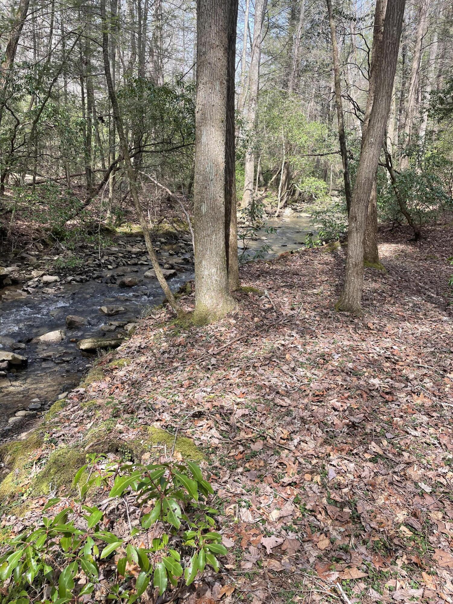 Lot 9 Gray Creek Road Graysville, TN 37338 - Photo 6 of 9 image_67208961 (2)
