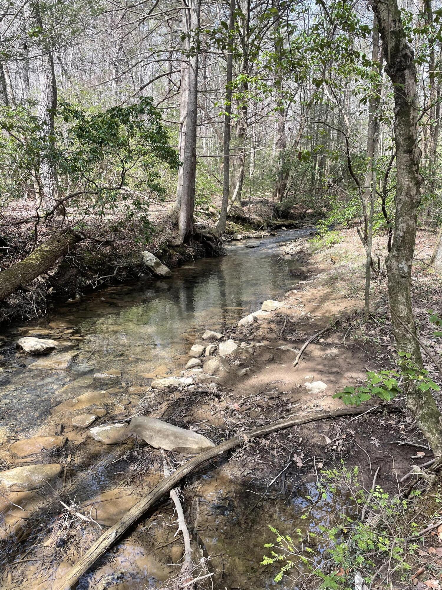 Lot 9 Gray Creek Road Graysville, TN 37338 - Photo 7 of 9 image_67224321