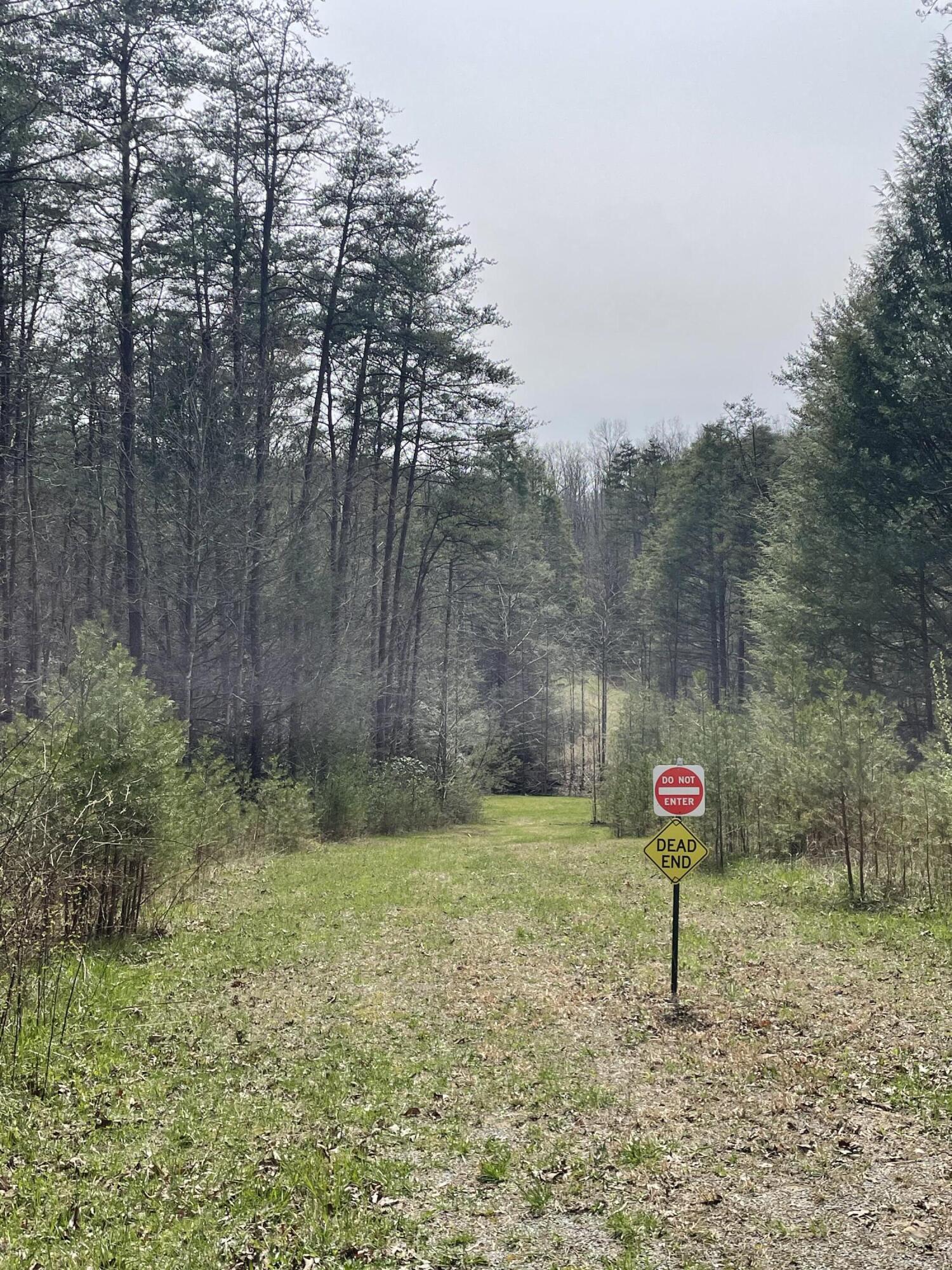 Lot 9 Gray Creek Road Graysville, TN 37338 - Photo 8 of 9 community creek access/day use