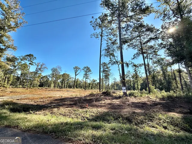 a view of dirt field with trees around