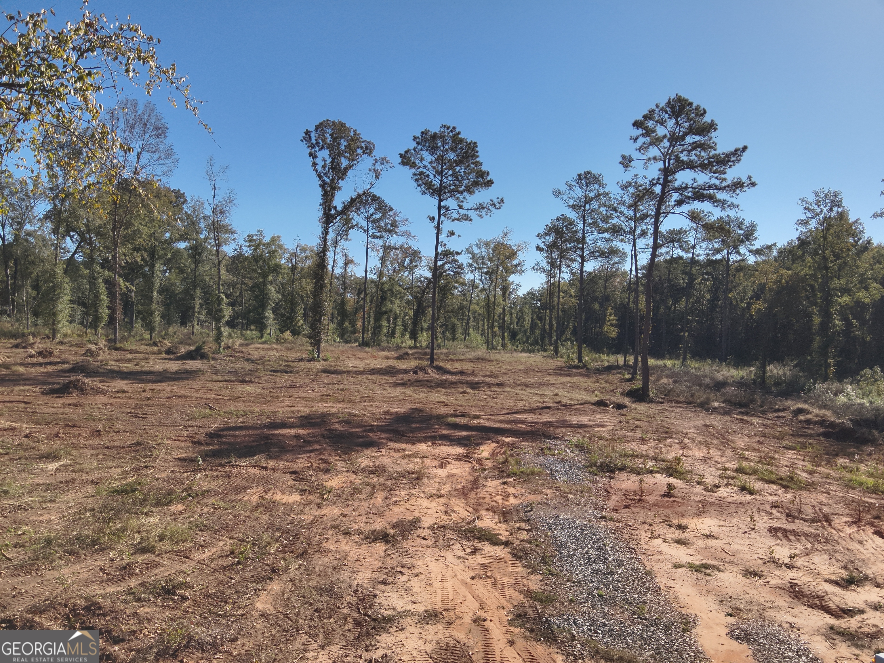 285 Lower Simmons Road Macon, GA 31220 - Photo 5 of 7 a view of outdoor space with green field and trees