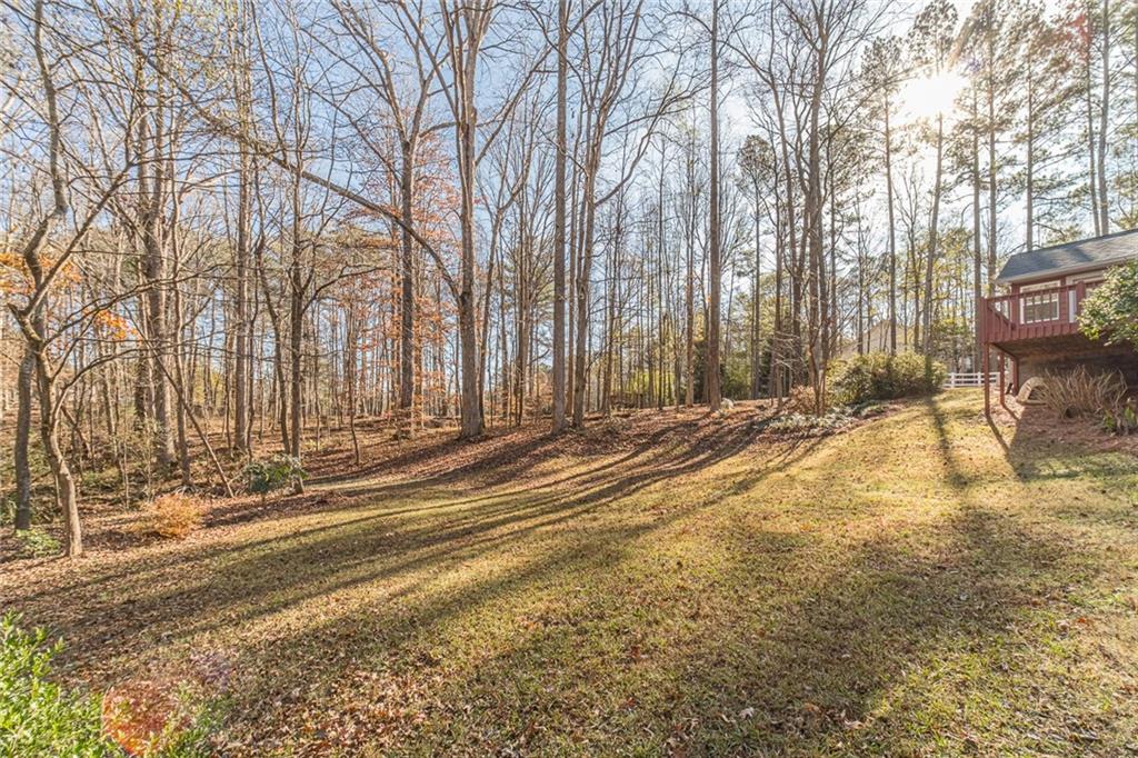 3240 Stewart Lake Road Monroe, GA 30655 - Photo 51 of 68 a view of a yard with large trees