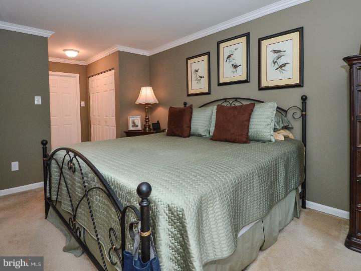 75 Ridge Run Road Sellersville, PA 18960 - Photo 17 of 25 Master Bedroom