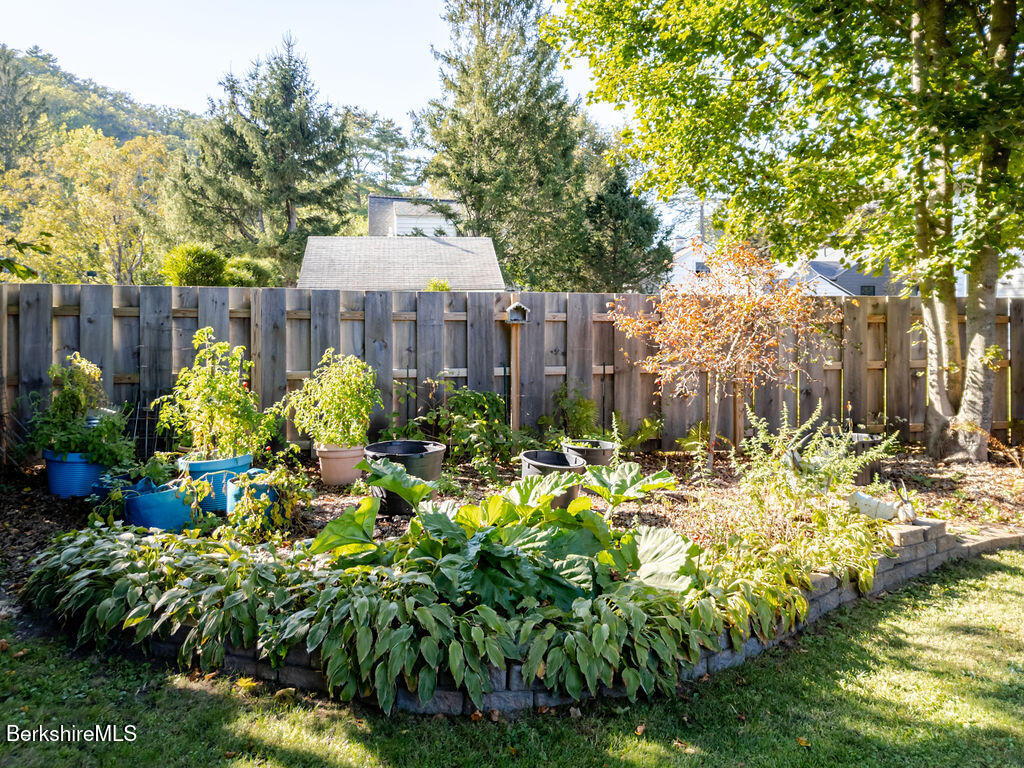 6 Locust Street Great Barrington, MA 01230 - Photo 32 of 36 a bunch of flowers and trees in a yard