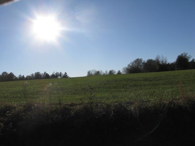 6 Jackson Grove South Landrum, SC 29356 - Photo 2 of 3