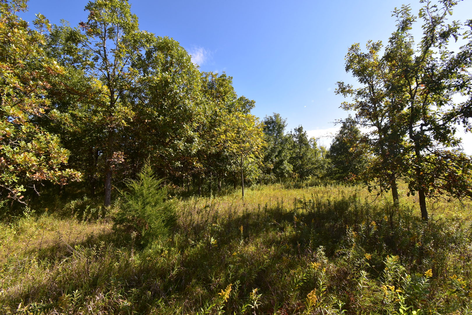 1607 Wheeler Road Kirkland, IL 60146 - Photo 53 of 54 Gallery Image 53
