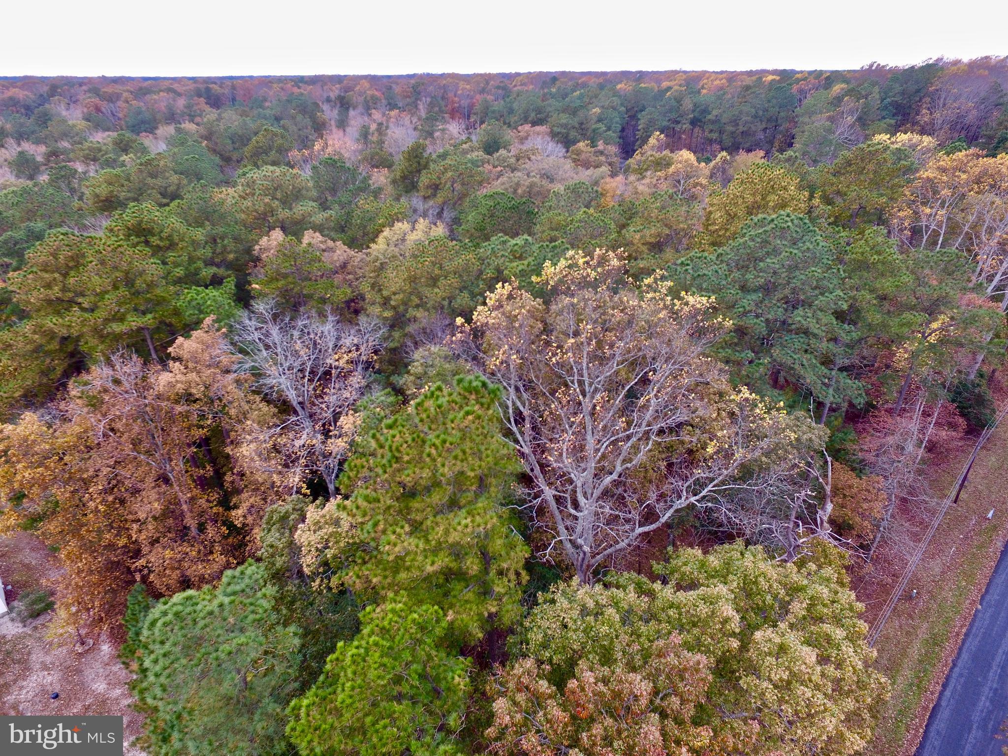 Lot#24 Waterview Road Lewes, DE 19958 - Photo 3 of 5 Gallery Image 3