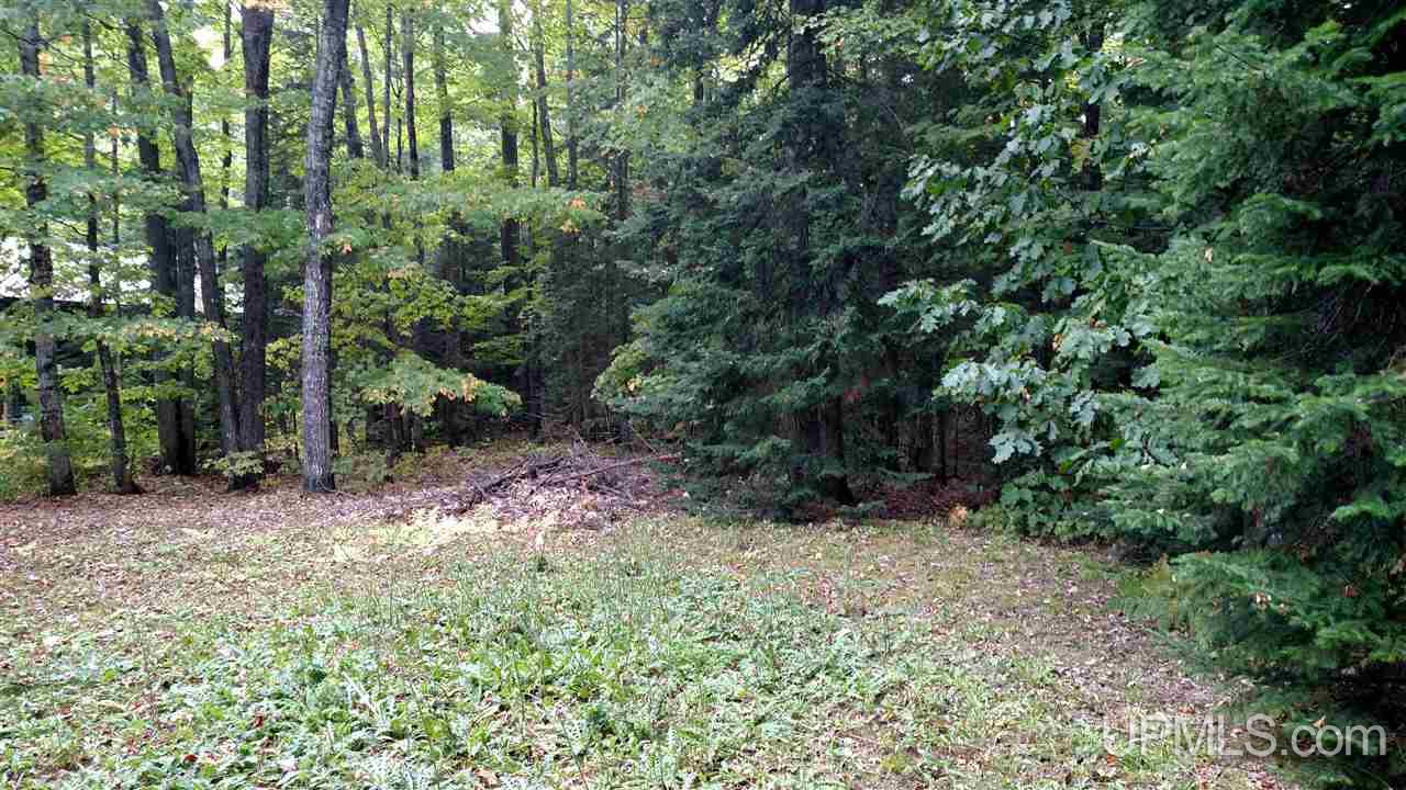 69 Feather Ridge Road, Unit LOT 40 Marquette, MI 49855 - Photo 16 of 17