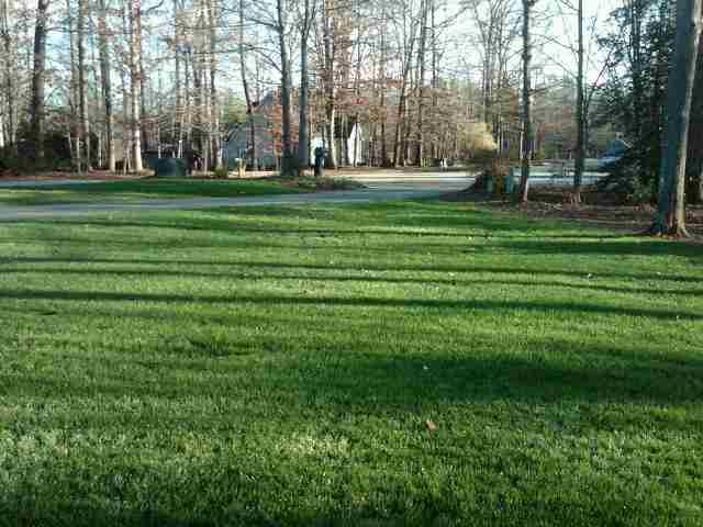 105 Forest Ridge Easley, SC 29640 - Photo 20 of 24