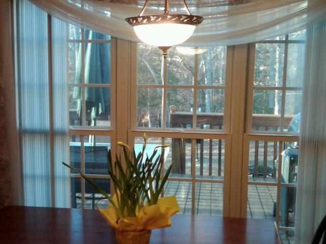 105 Forest Ridge Easley, SC 29640 - Photo 5 of 24