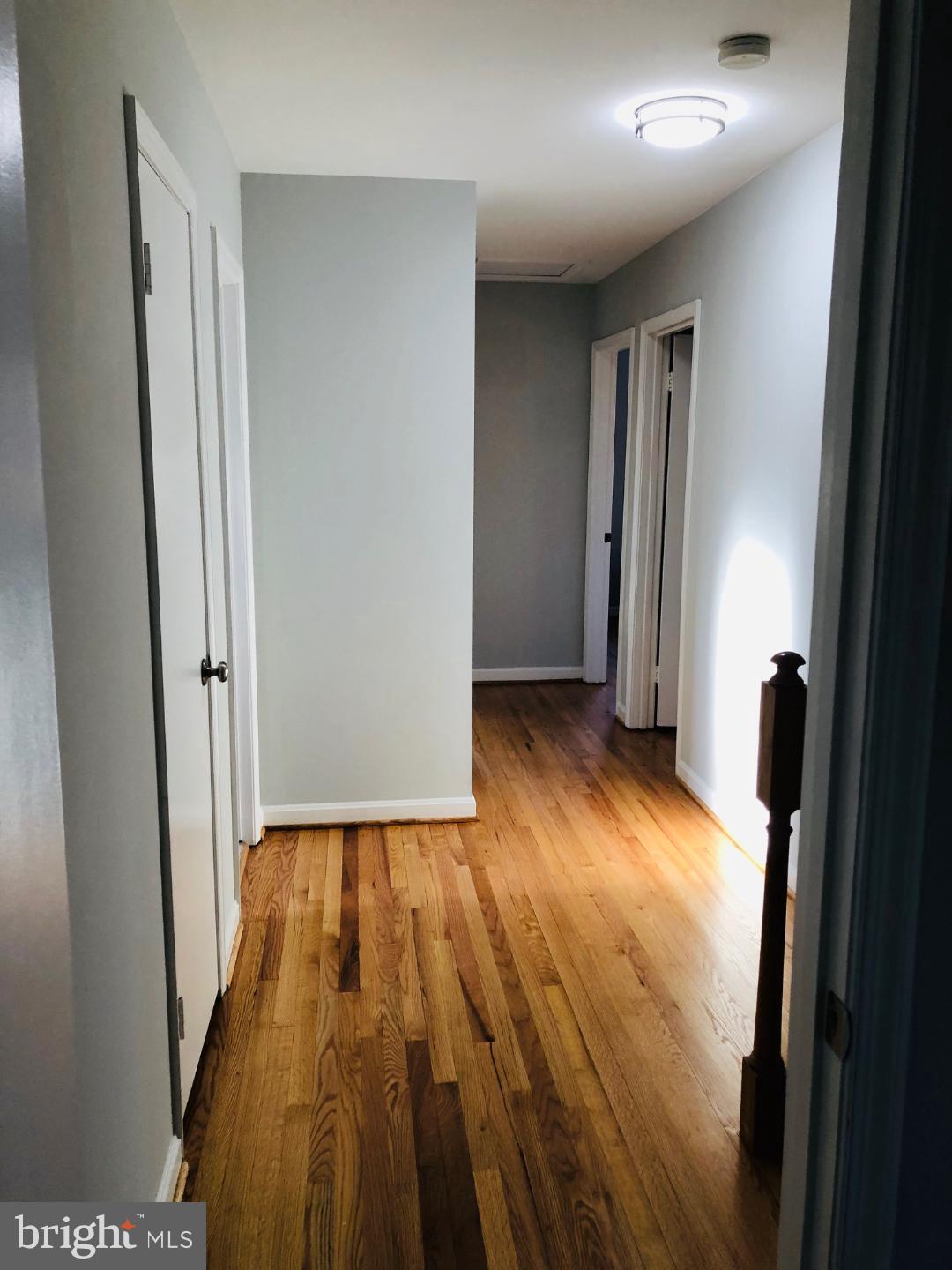 2308 Short Ridge Road Reston, VA 20191 - Photo 16 of 37 Gallery Image 16