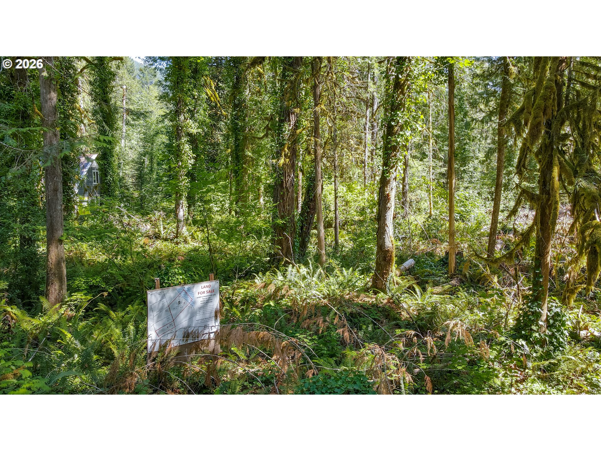 64281 East Brightwood Loop Road Brightwood, OR 97011 - Photo 24 of 24